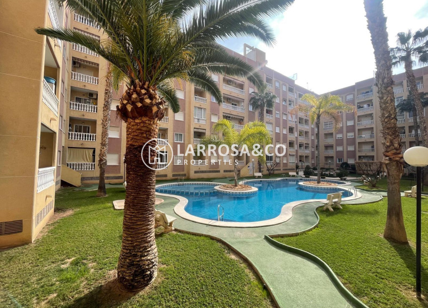 Herverkoop - Apartment - Torrevieja - Centro