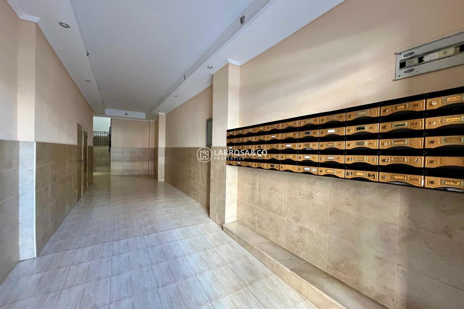 Herverkoop - Apartment - Torrevieja - Costa Blanca