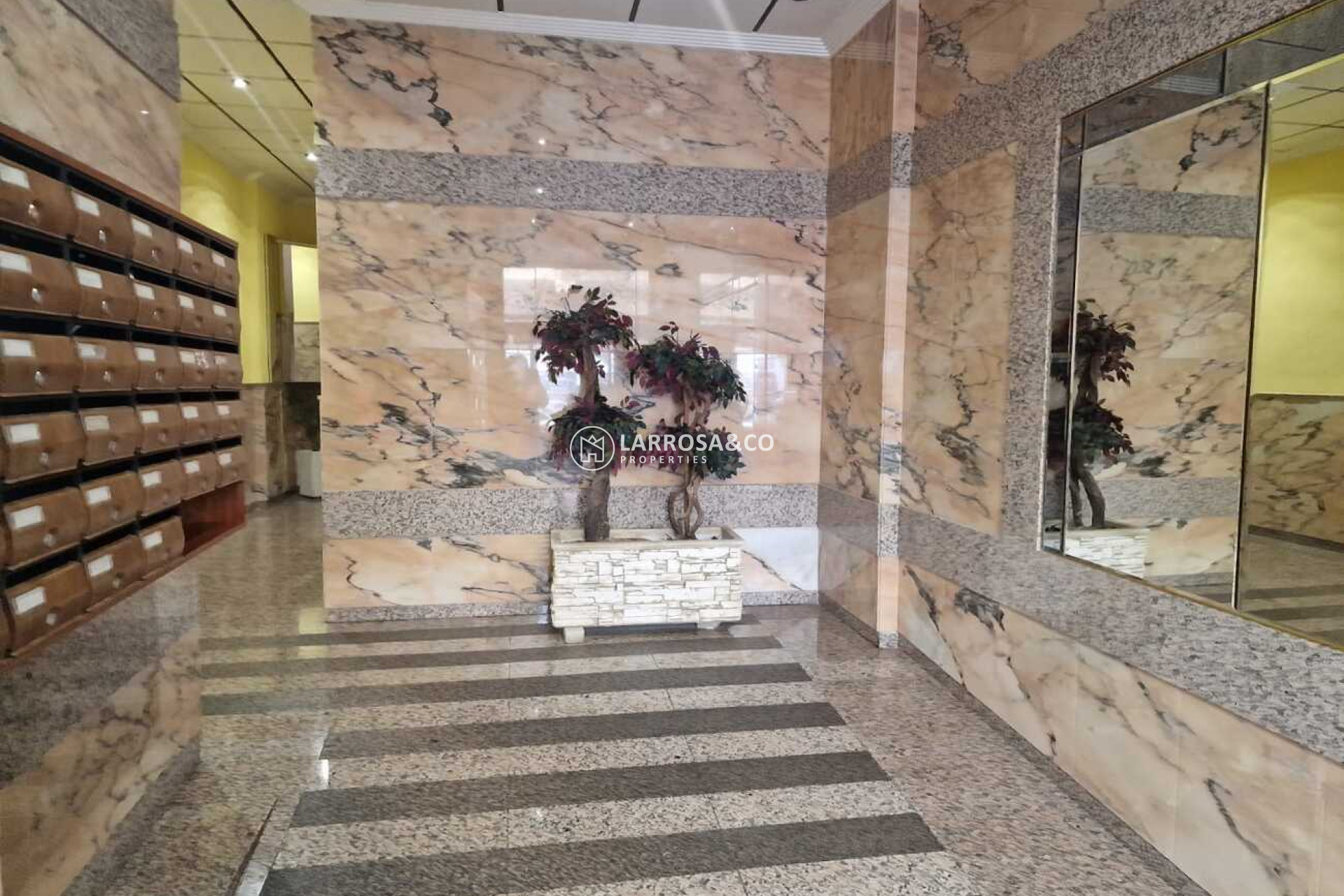 Herverkoop - Apartment - Torrevieja - Costa Blanca