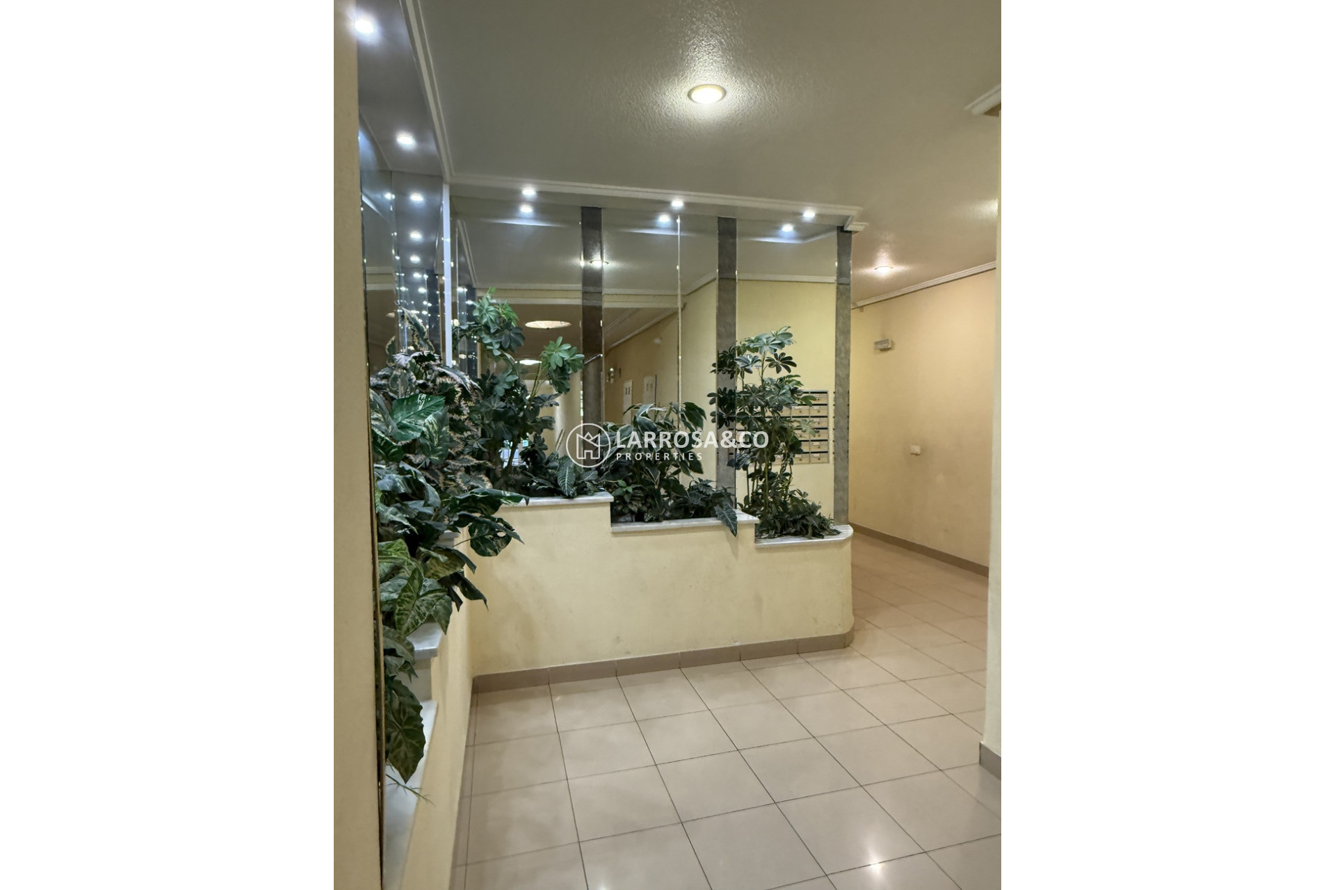 Herverkoop - Apartment - Torrevieja - Costa Blanca