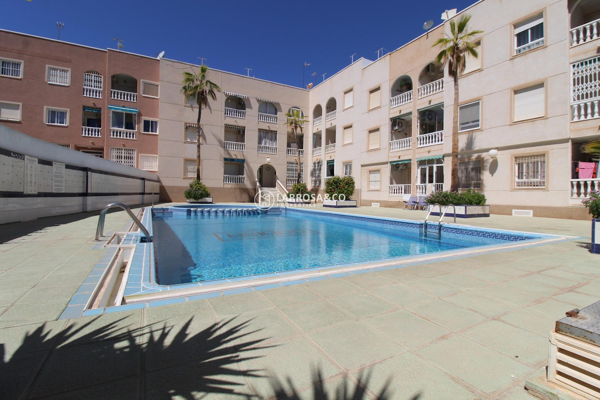 Herverkoop - Apartment - Torrevieja - Curva del Palangre