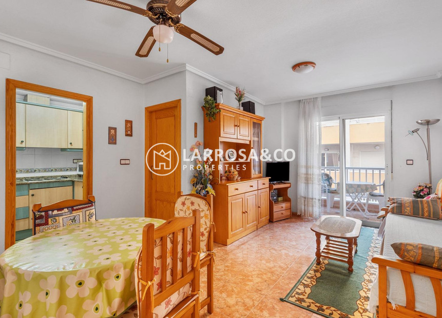 Herverkoop - Apartment - Torrevieja - Estacion de autobuses
