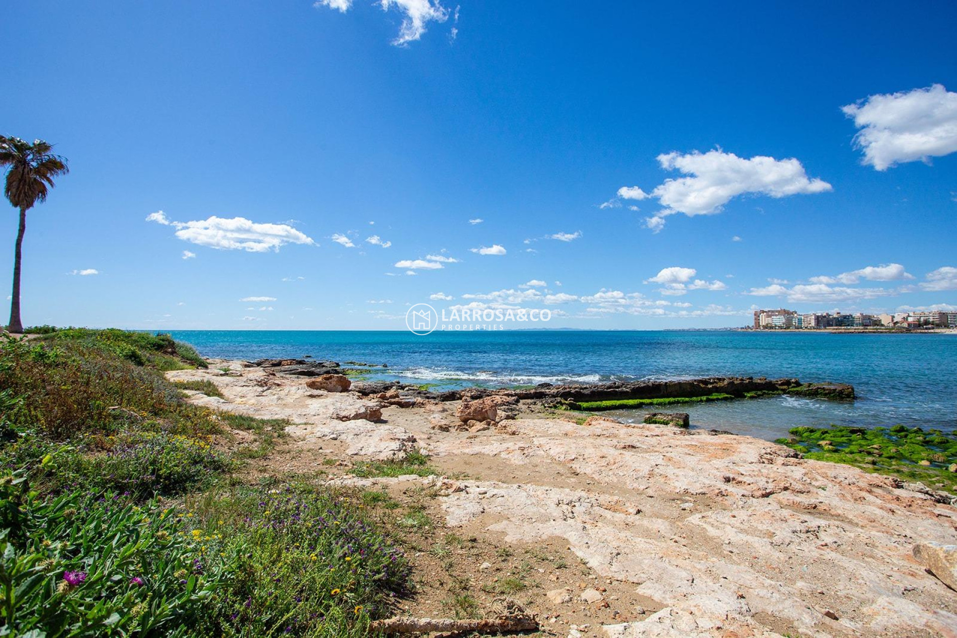 Herverkoop - Apartment - Torrevieja - Estacion de autobuses