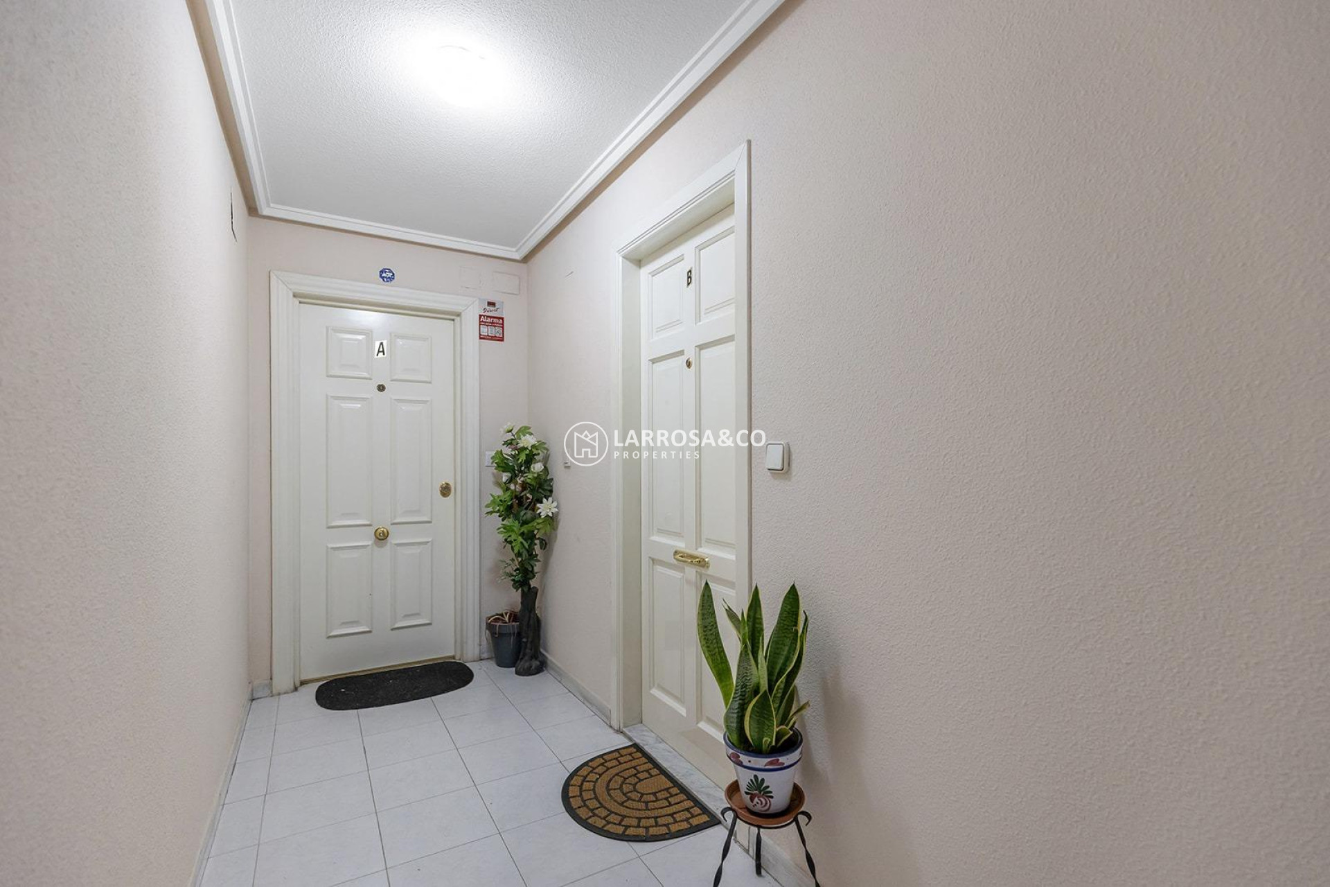 Herverkoop - Apartment - Torrevieja - Estacion de autobuses