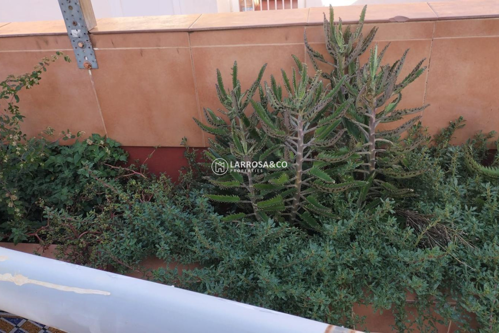 Herverkoop - Apartment - Torrevieja - La Mata