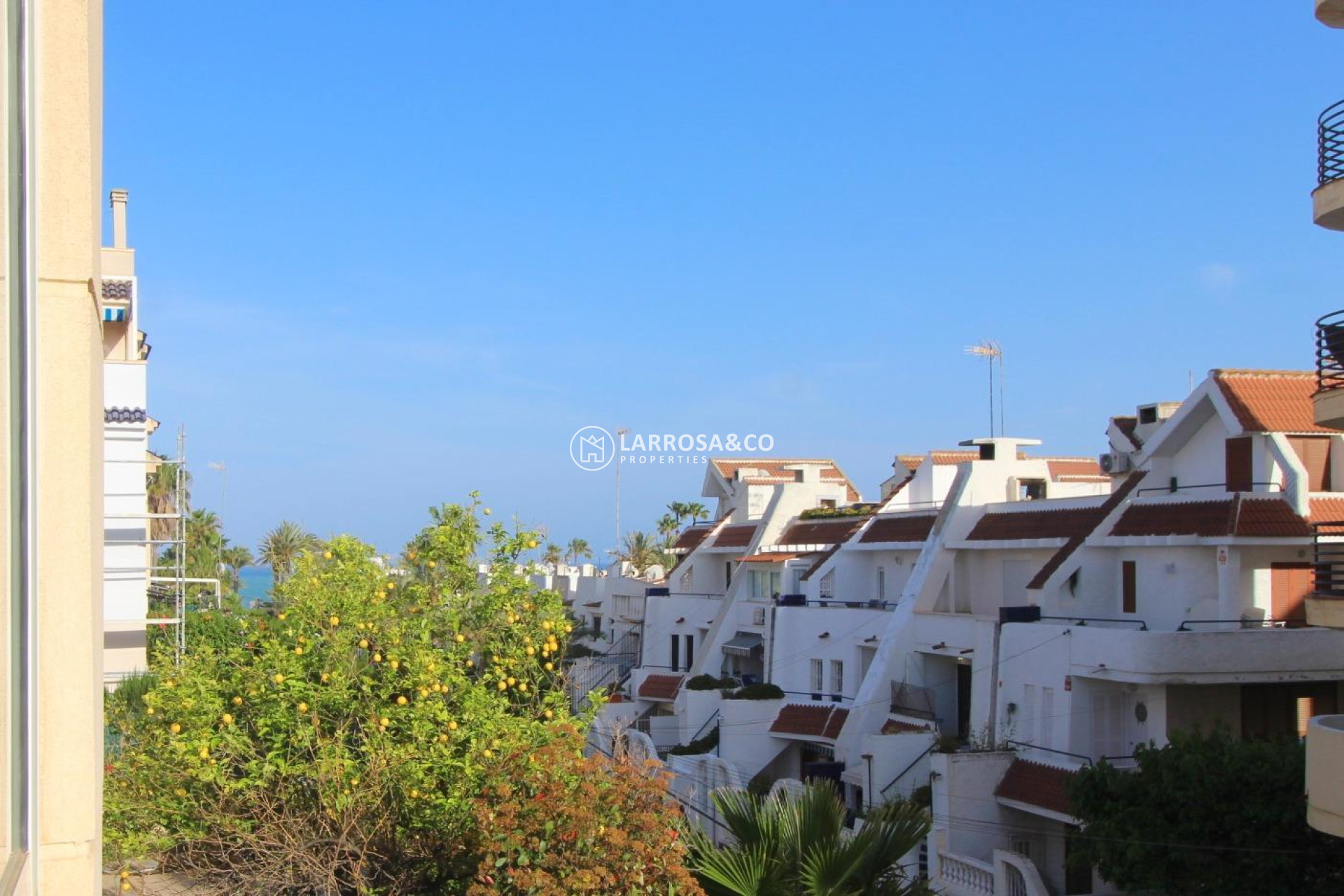 Herverkoop - Apartment - Torrevieja - La veleta