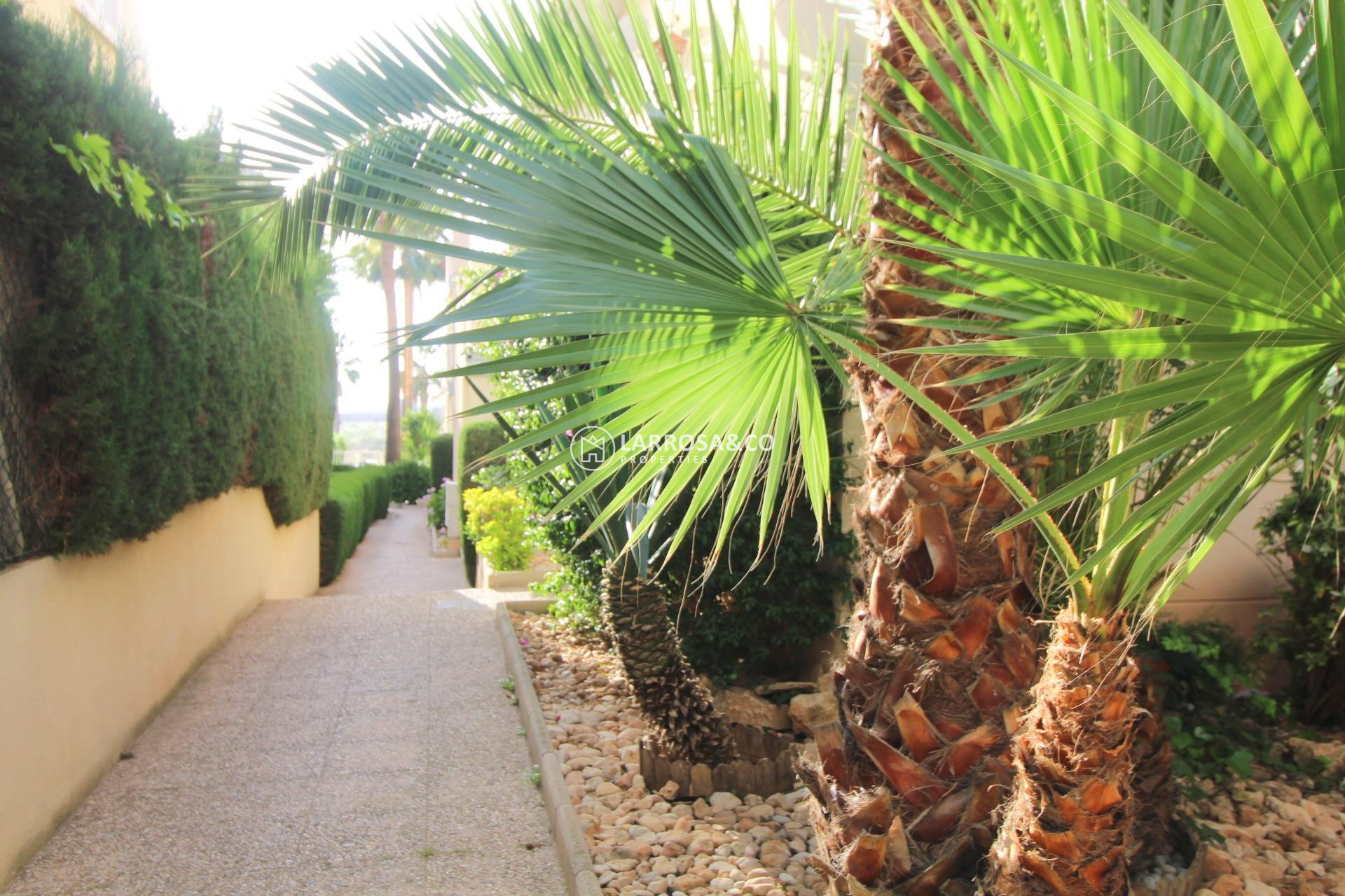 Herverkoop - Apartment - Torrevieja - La veleta