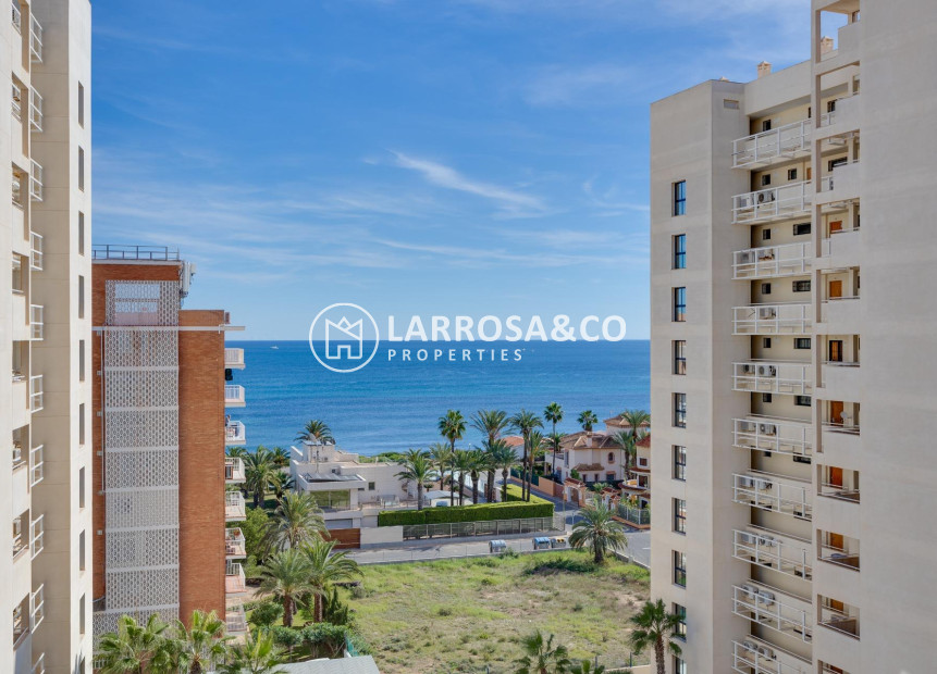 Herverkoop - Apartment - Torrevieja - La veleta