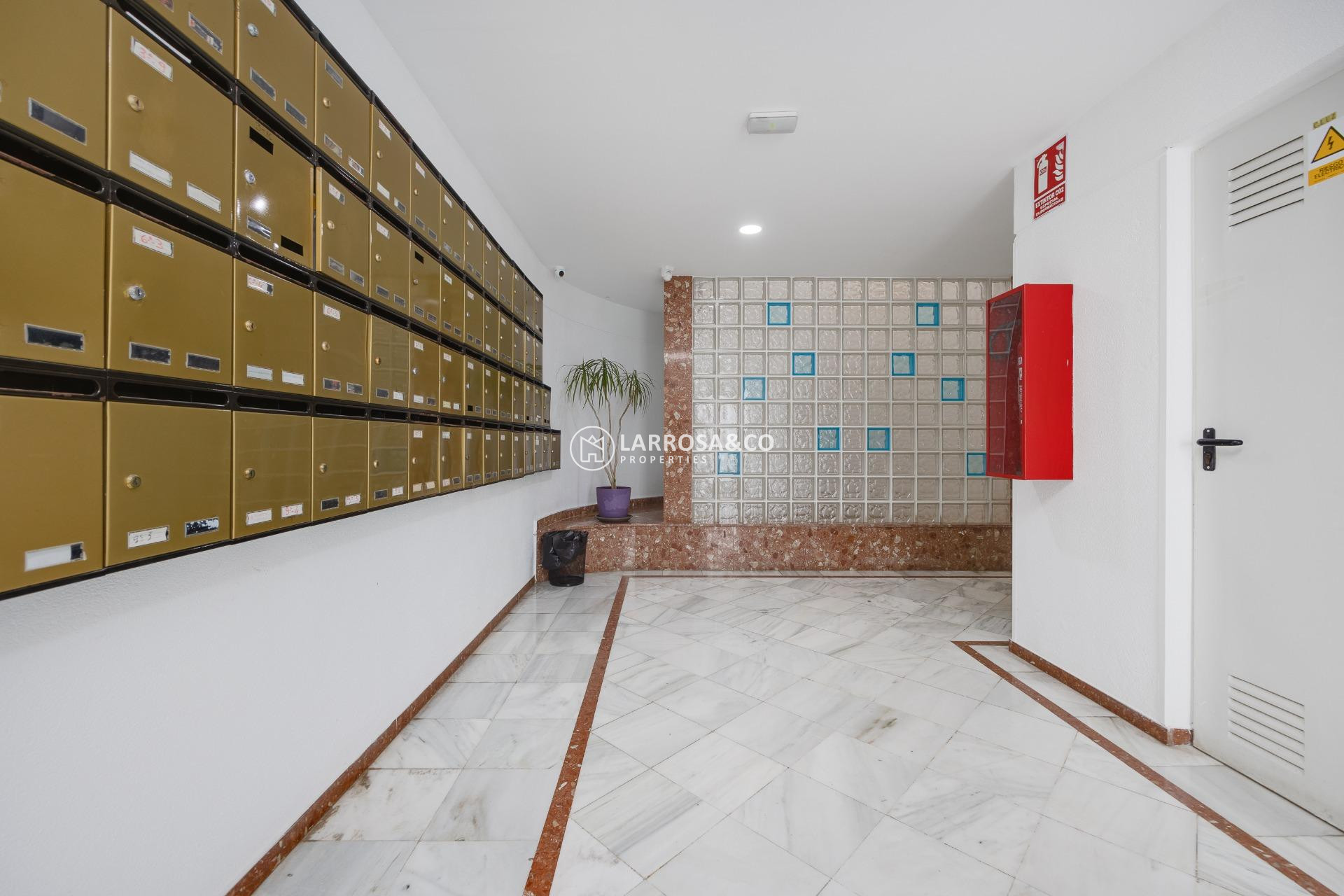 Herverkoop - Apartment - Torrevieja - La veleta