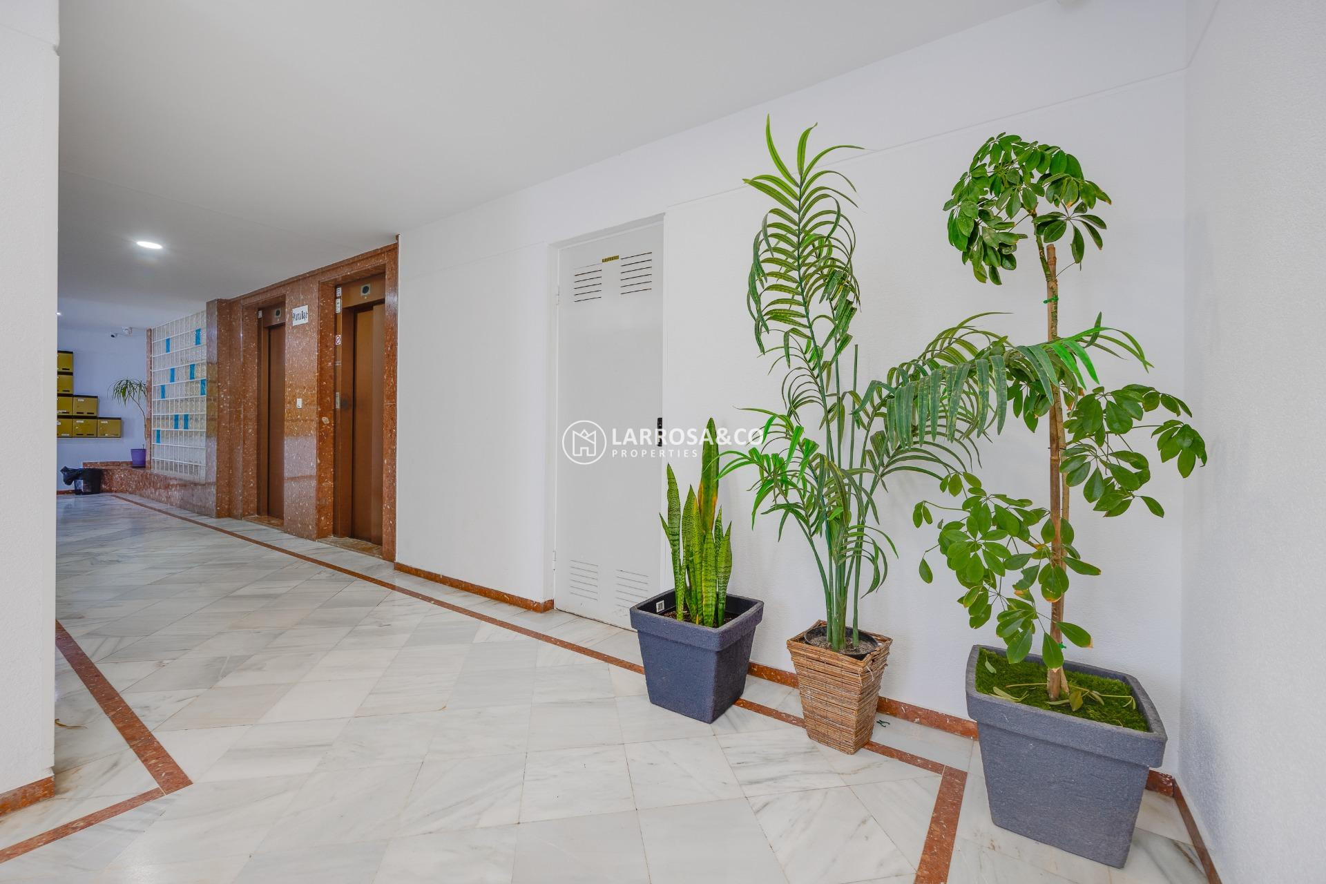 Herverkoop - Apartment - Torrevieja - La veleta