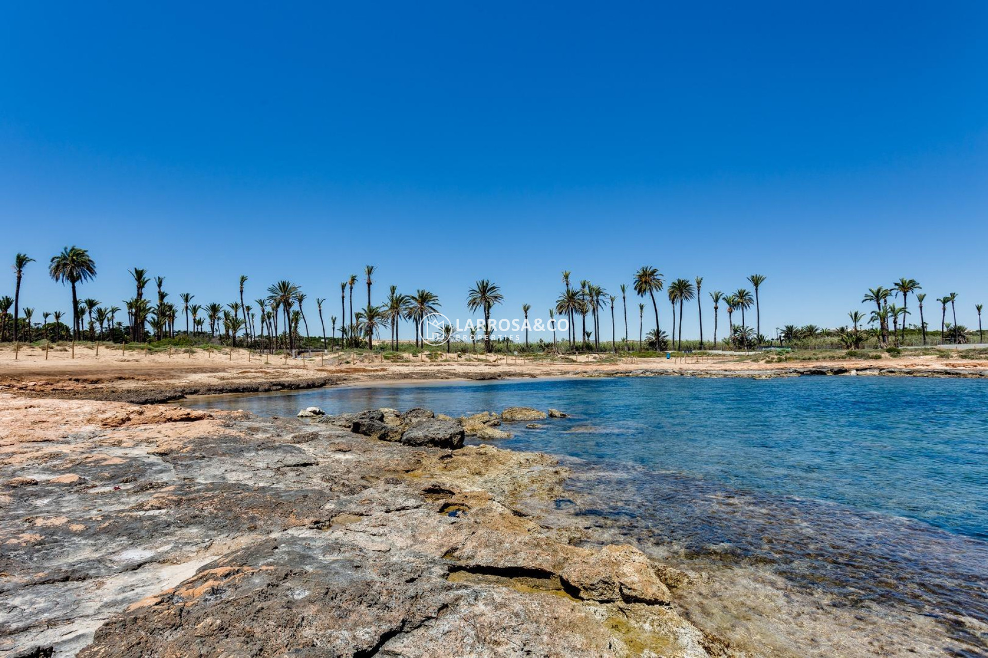 Herverkoop - Apartment - Torrevieja - La veleta