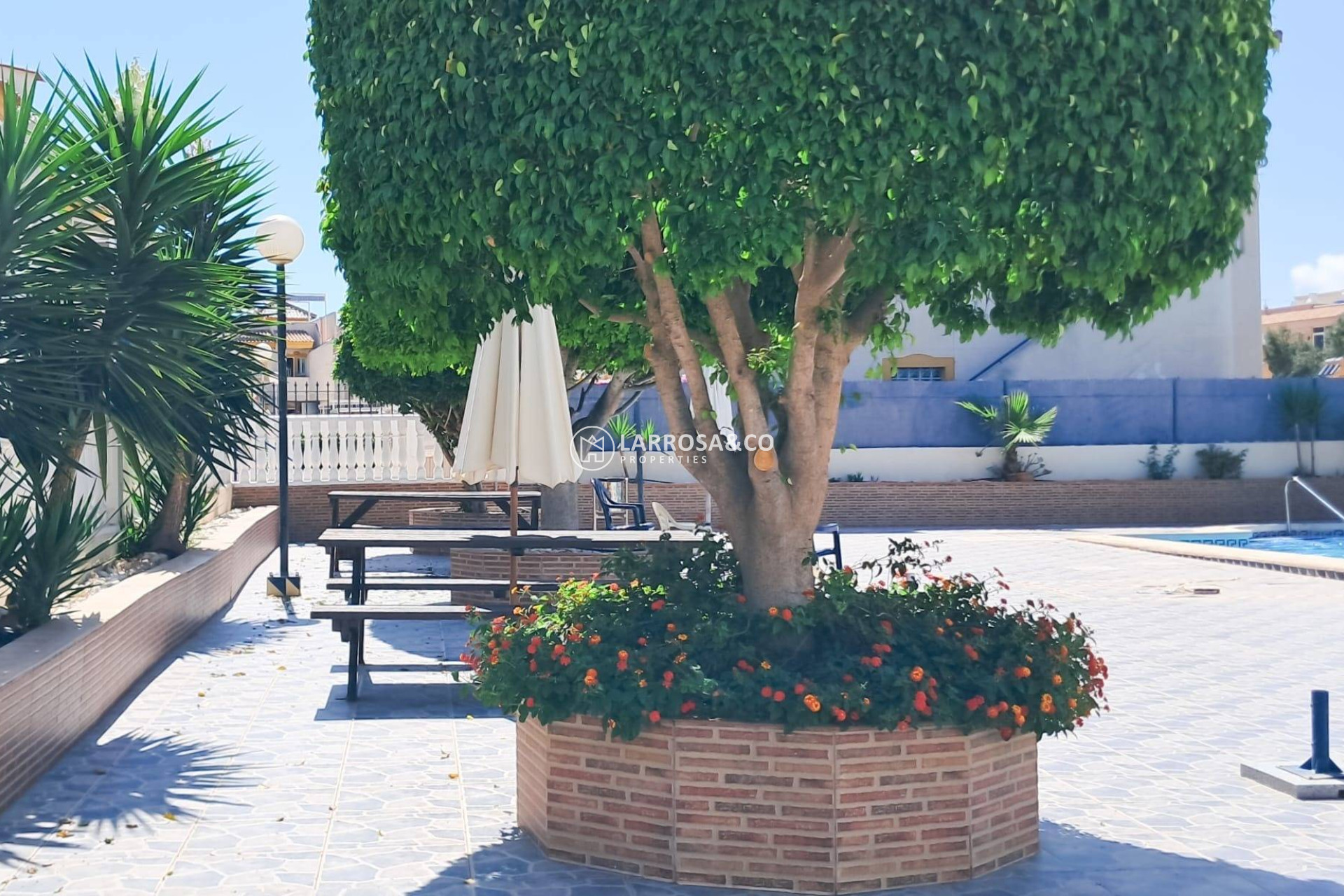 Herverkoop - Apartment - Torrevieja - Parque Acuático - Sector 25