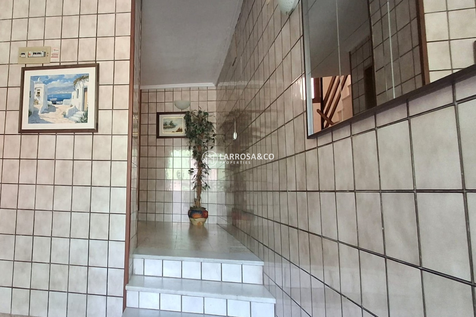 Herverkoop - Apartment - Torrevieja - Playa de El Cura