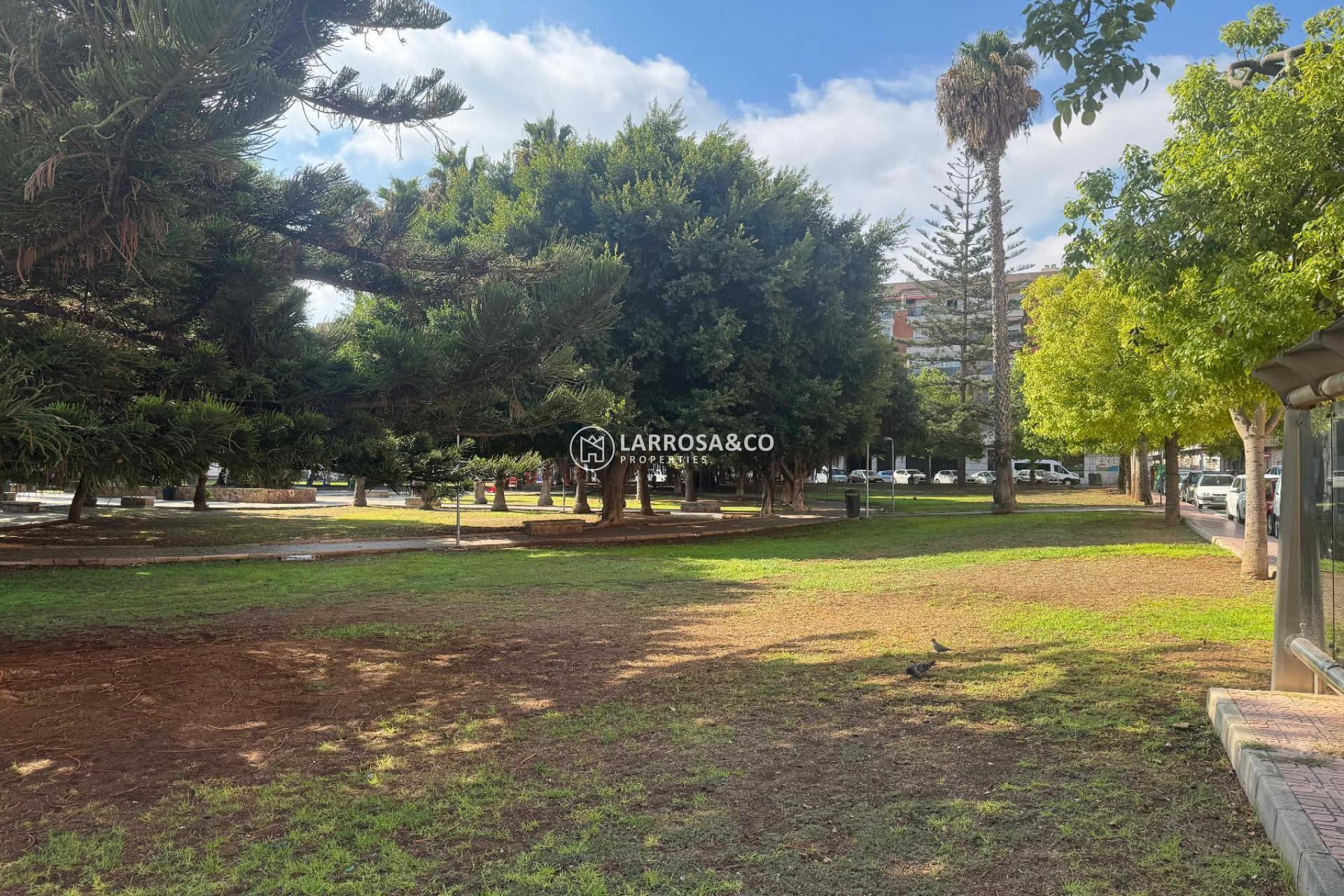 Herverkoop - Apartment - Torrevieja - Playa del Acequión