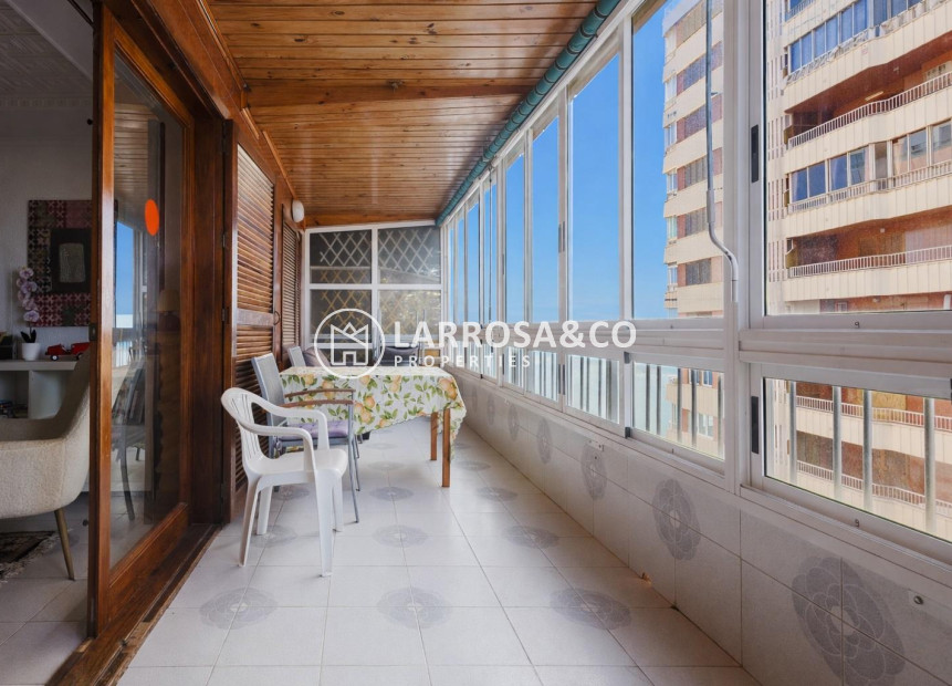 Herverkoop - Apartment - Torrevieja - Playa del Acequión