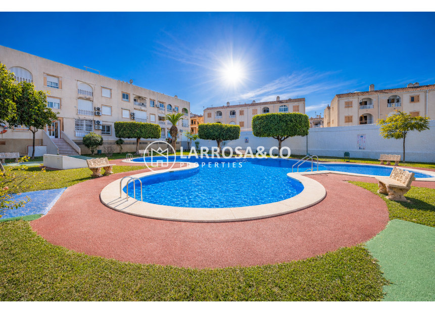 Herverkoop - Apartment - Torrevieja - Playa del Acequión