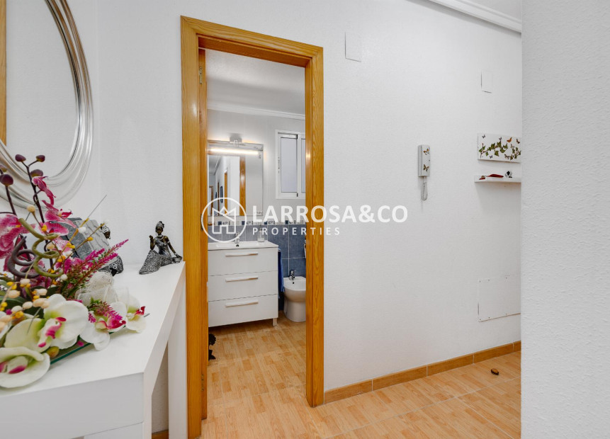 Herverkoop - Apartment - Torrevieja - Playa del Acequión