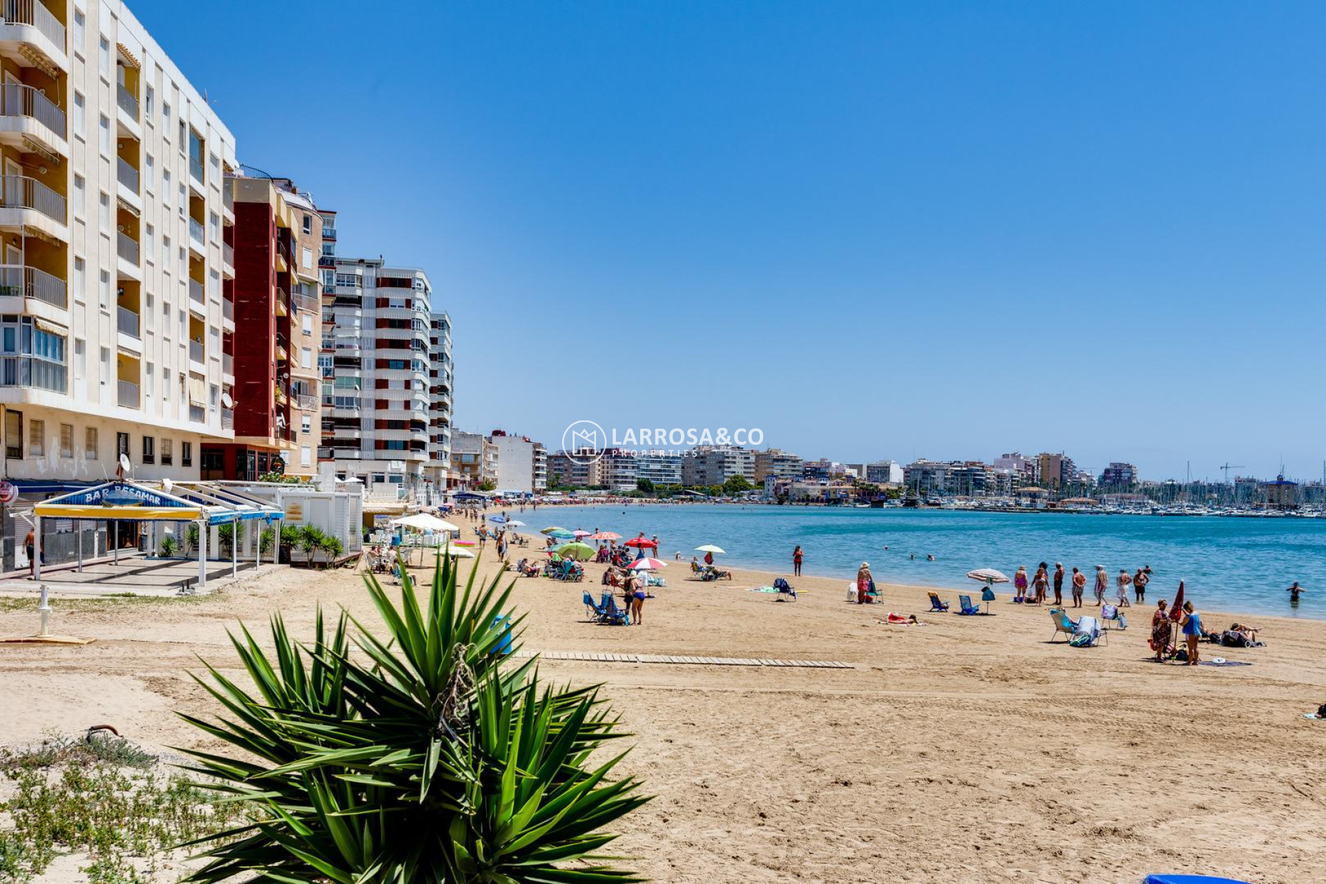 Herverkoop - Apartment - Torrevieja - Playa del Acequión