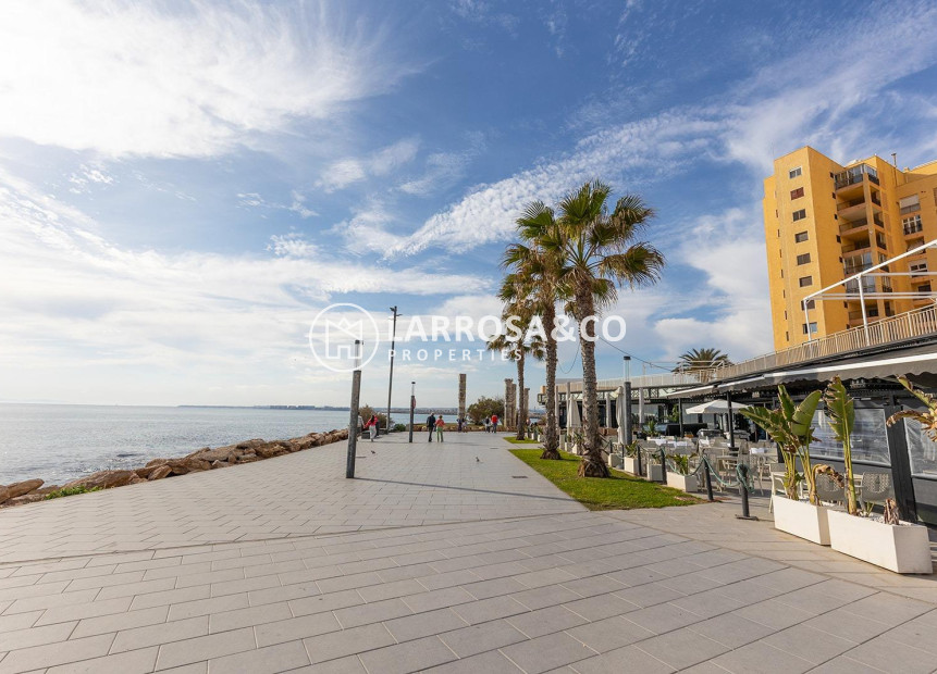 Herverkoop - Apartment - Torrevieja - Playa del cura
