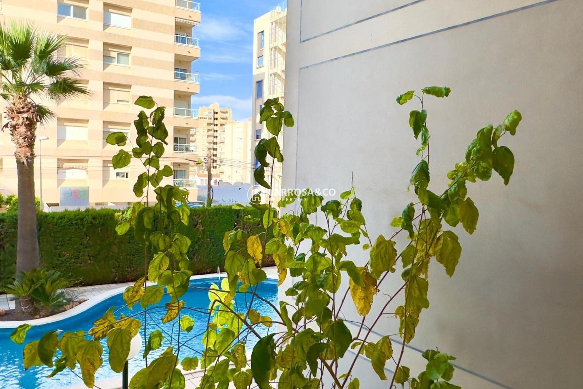 Herverkoop - Apartment - Torrevieja - Playa del cura