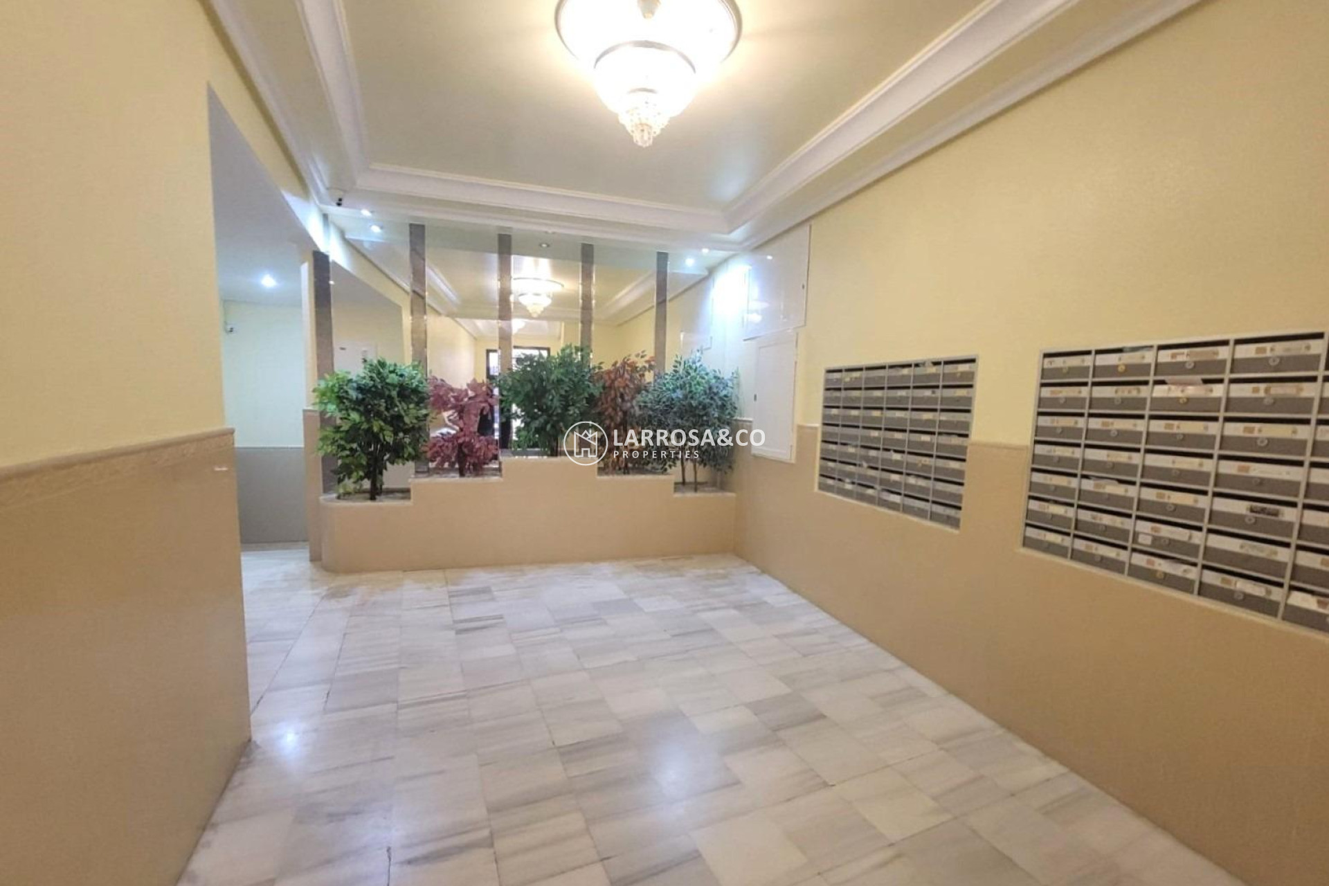 Herverkoop - Apartment - Torrevieja - Playa del cura