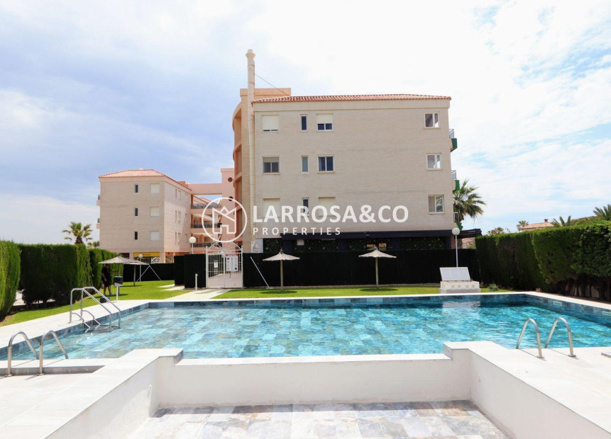 Herverkoop - Apartment - Torrevieja - Playa Flamenca