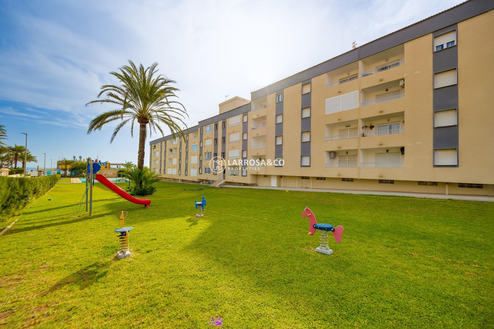 Herverkoop - Apartment - Torrevieja - Punta Prima