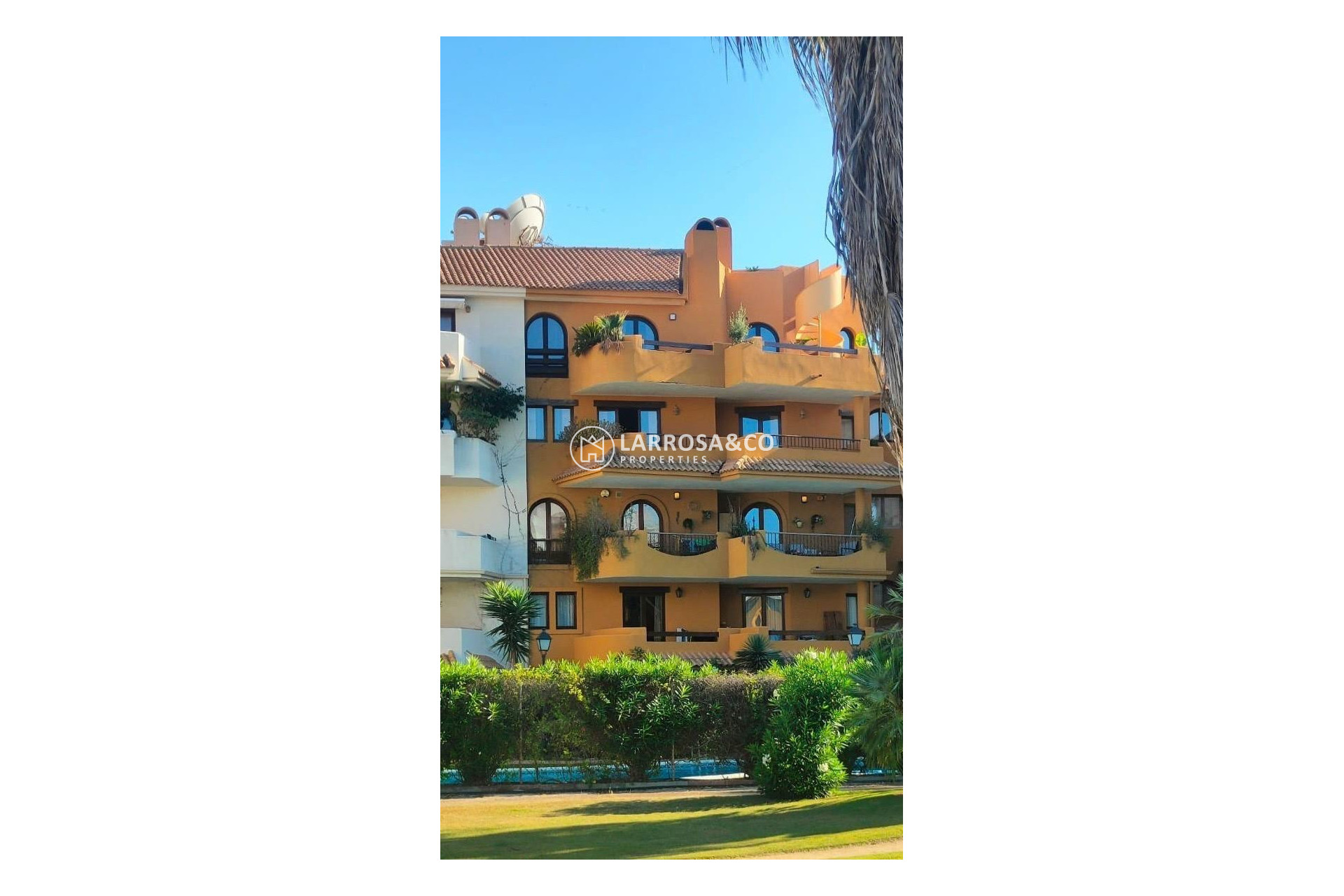 Herverkoop - Apartment - Torrevieja - Punta Prima