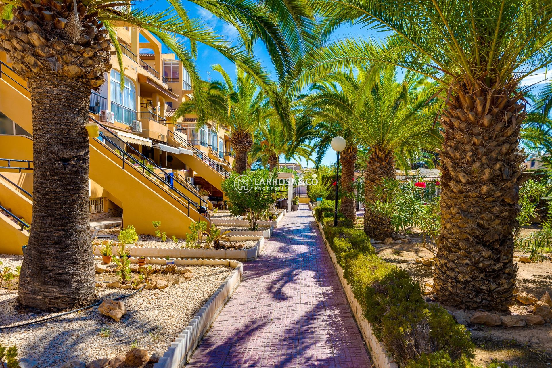 Herverkoop - Apartment - Torrevieja - Torreblanca