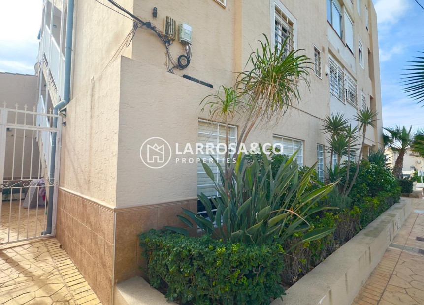 Herverkoop - Apartment - Torrevieja - Zona los Frutales