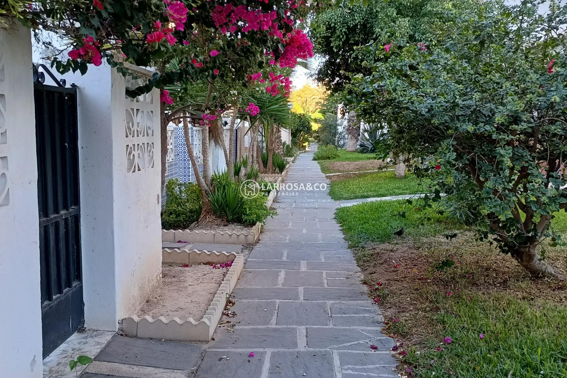 Herverkoop - Bungalow - Torrevieja - Calas blanca