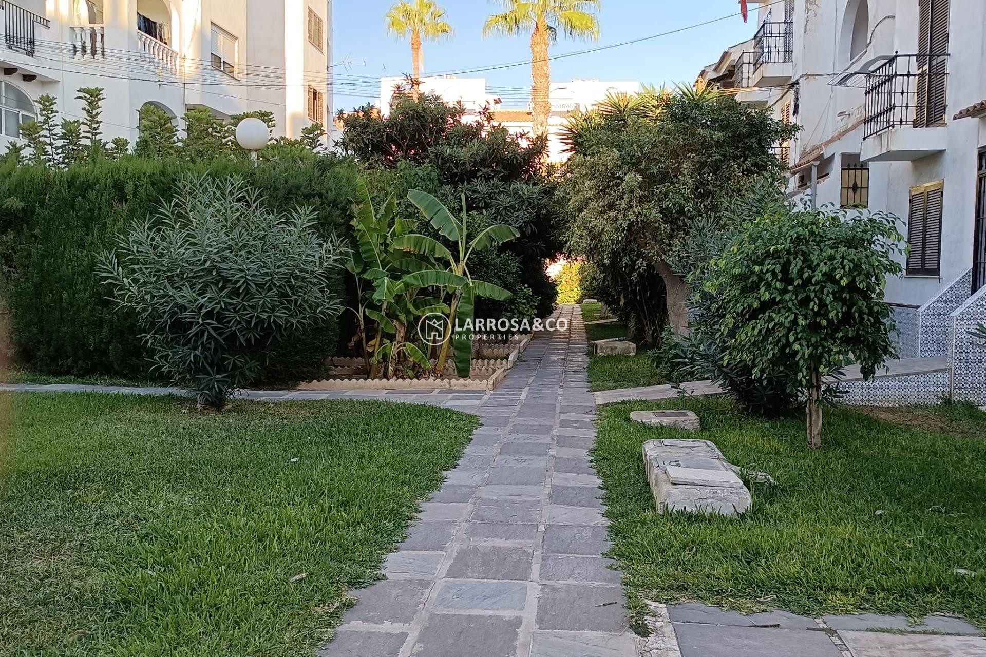 Herverkoop - Bungalow - Torrevieja - Calas blanca