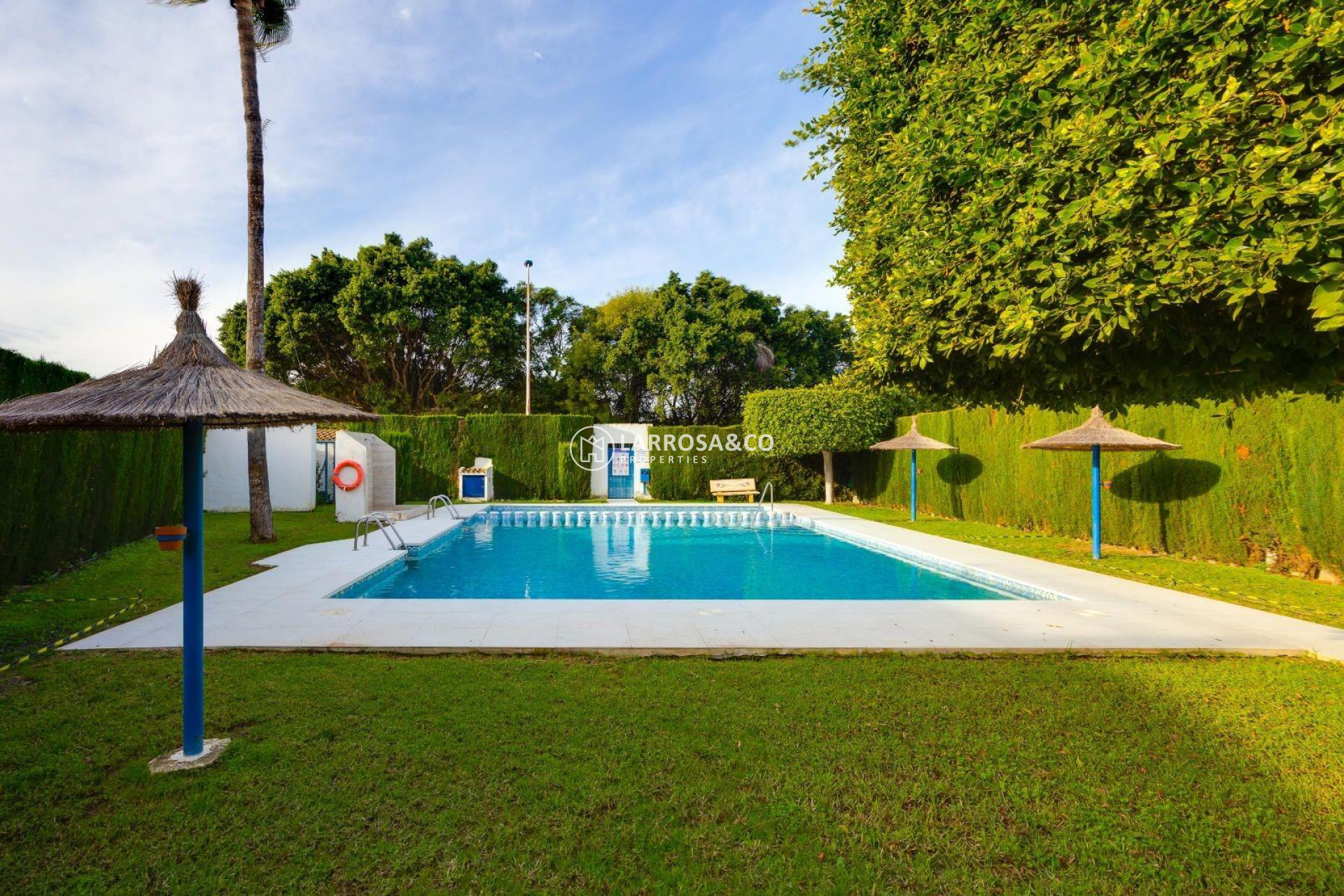 Herverkoop - Bungalow - Torrevieja - La Siesta - El Salado - Torreta