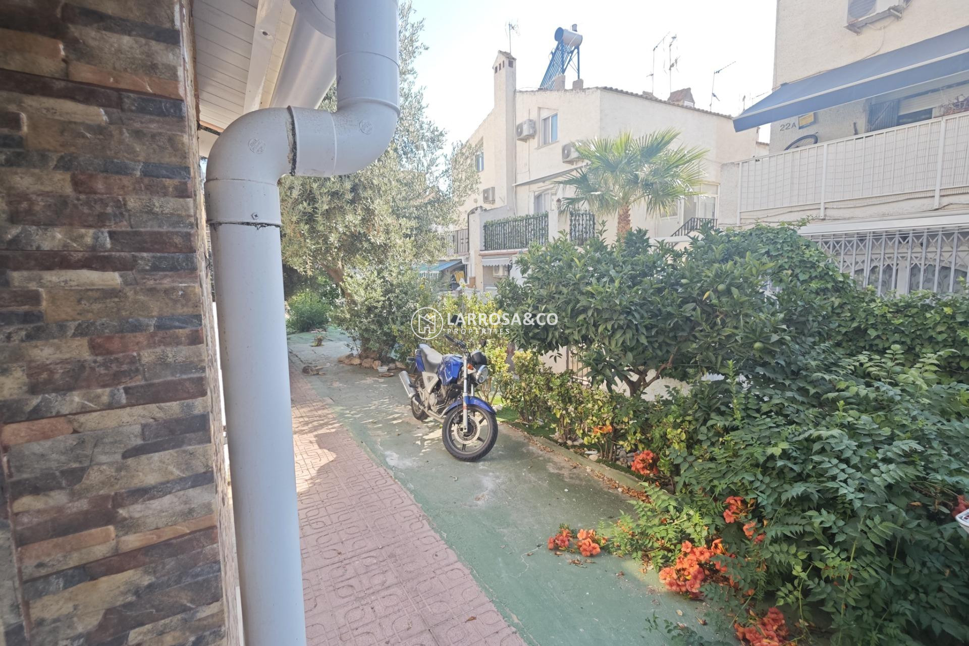 Herverkoop - Bungalow - Torrevieja - Playa del cura