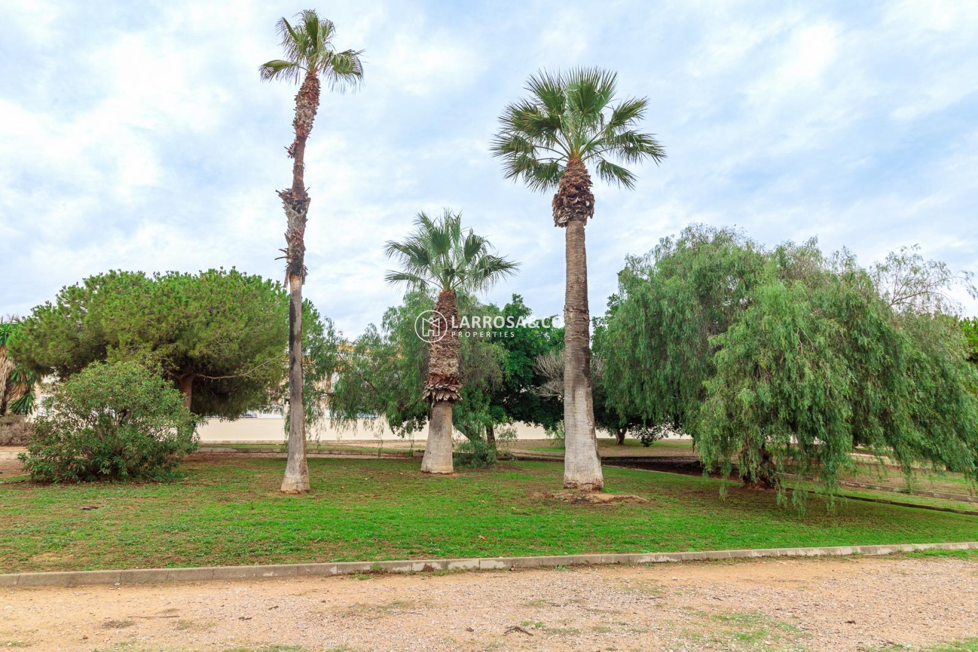 Herverkoop - Bungalow - Torrevieja - Torreblanca