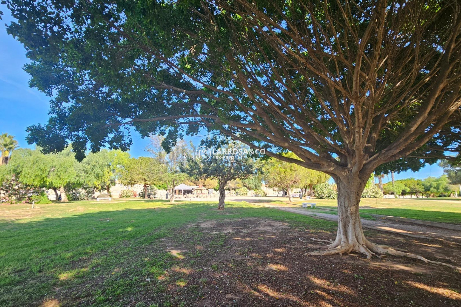 Herverkoop - Bungalow - Torrevieja - Torreblanca