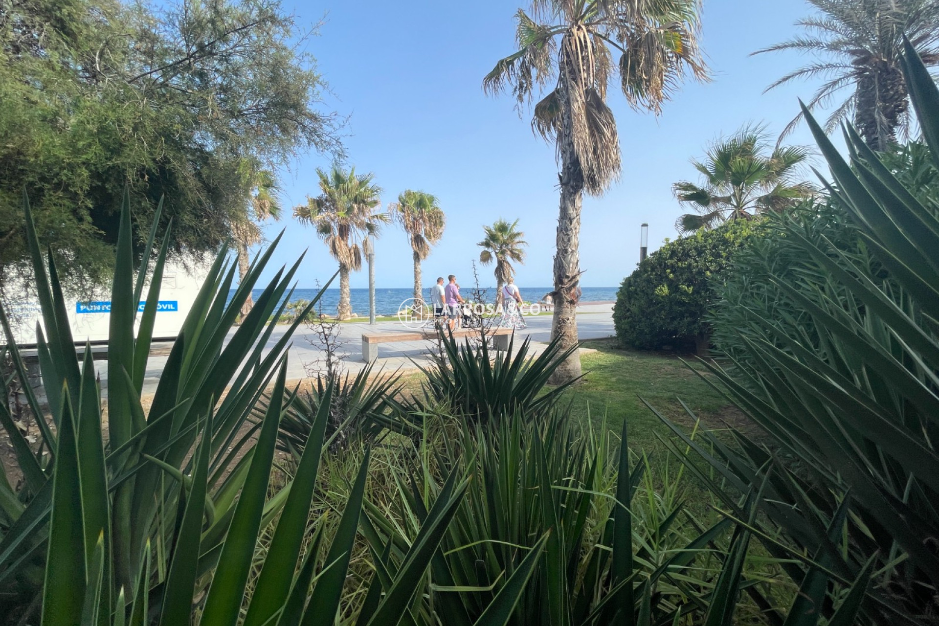 Herverkoop - Commercial space - Torrevieja - Costa Blanca