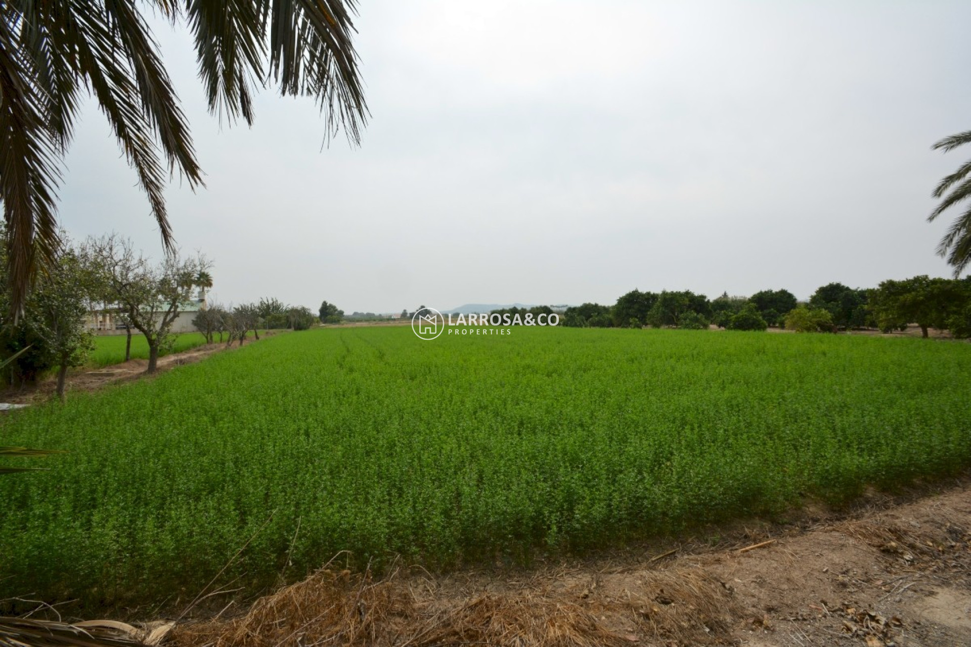 Herverkoop - Country house - Almoradí