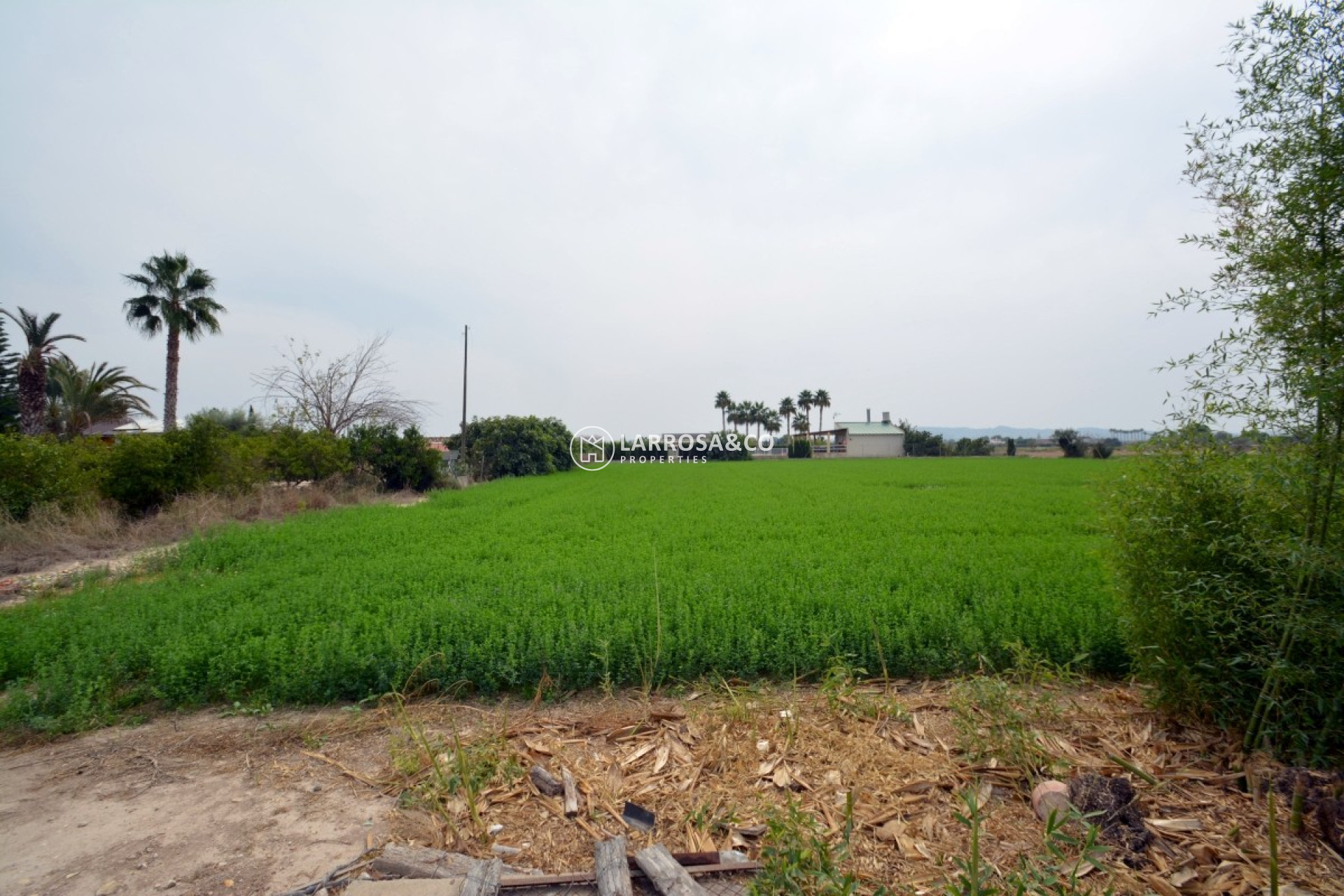 Herverkoop - Country house - Almoradí