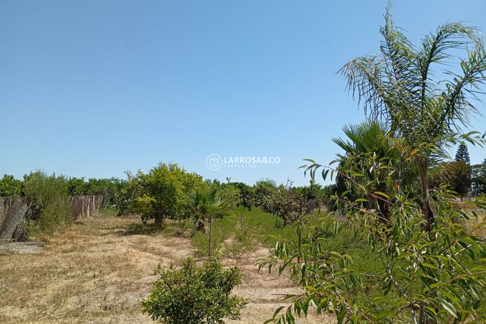 Herverkoop - Country house - Daya Nueva - Costa Blanca