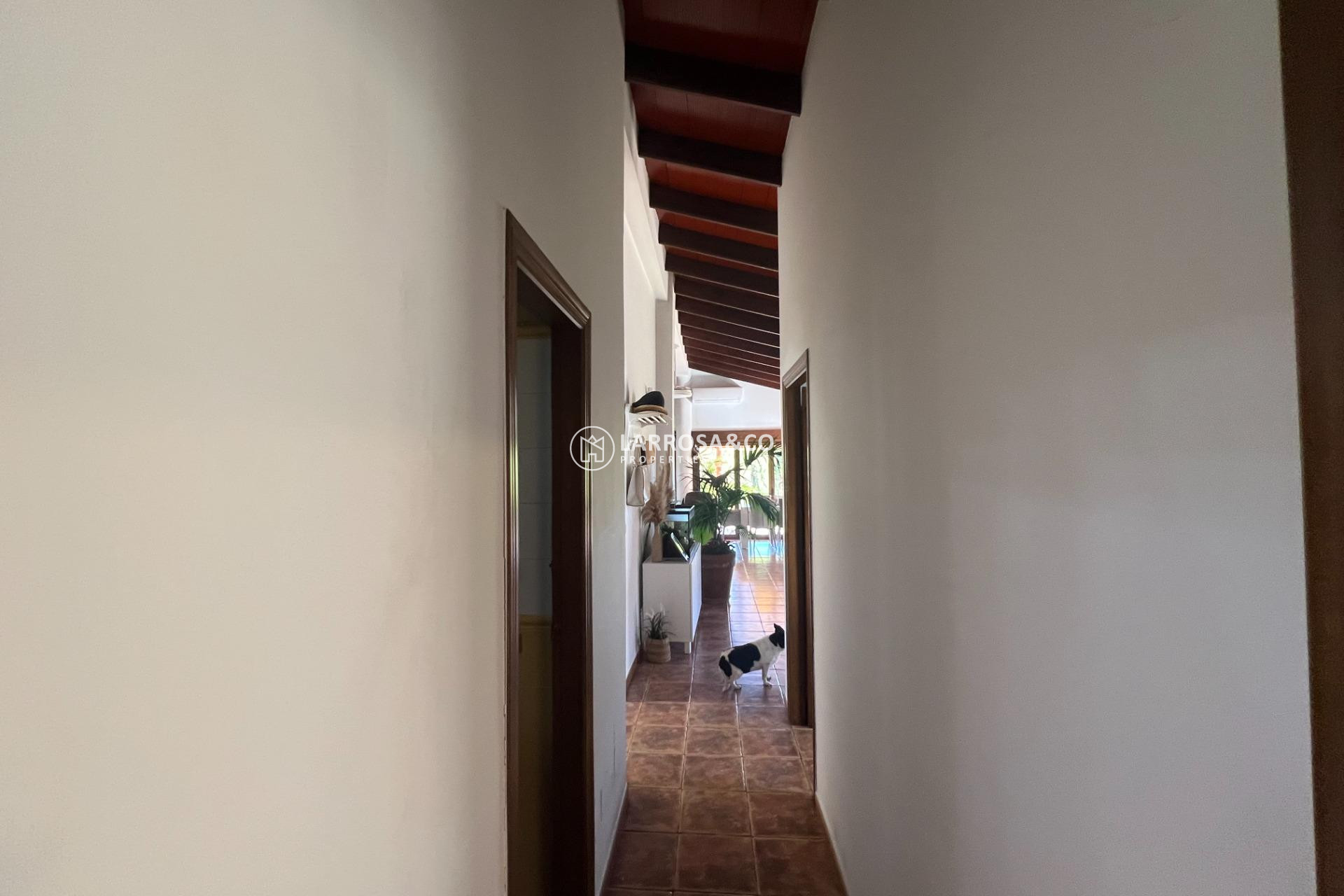 Herverkoop - Country house - Dolores - Comunidad valenciana