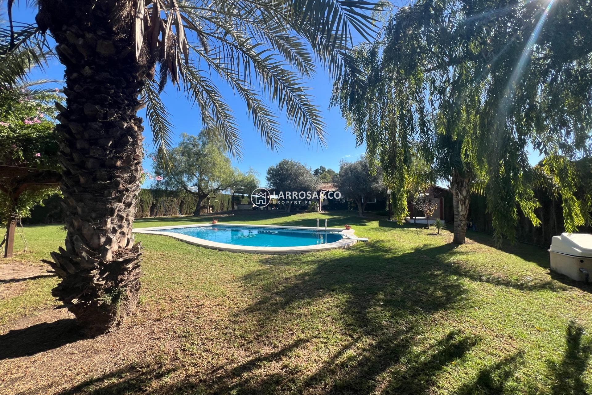Herverkoop - Country house - Dolores - Comunidad valenciana