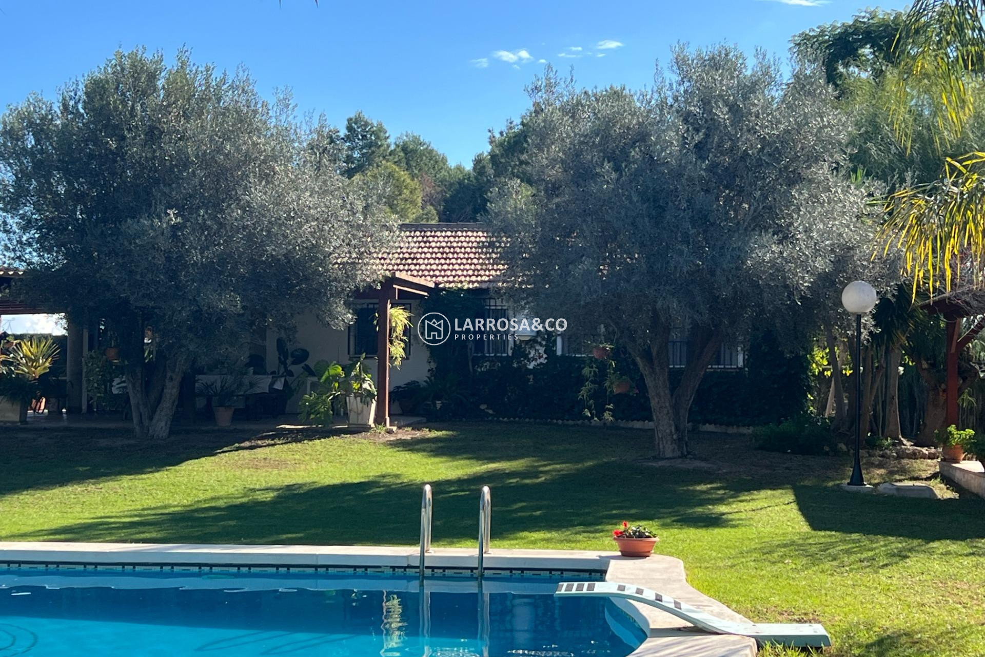 Herverkoop - Country house - Dolores - Comunidad valenciana