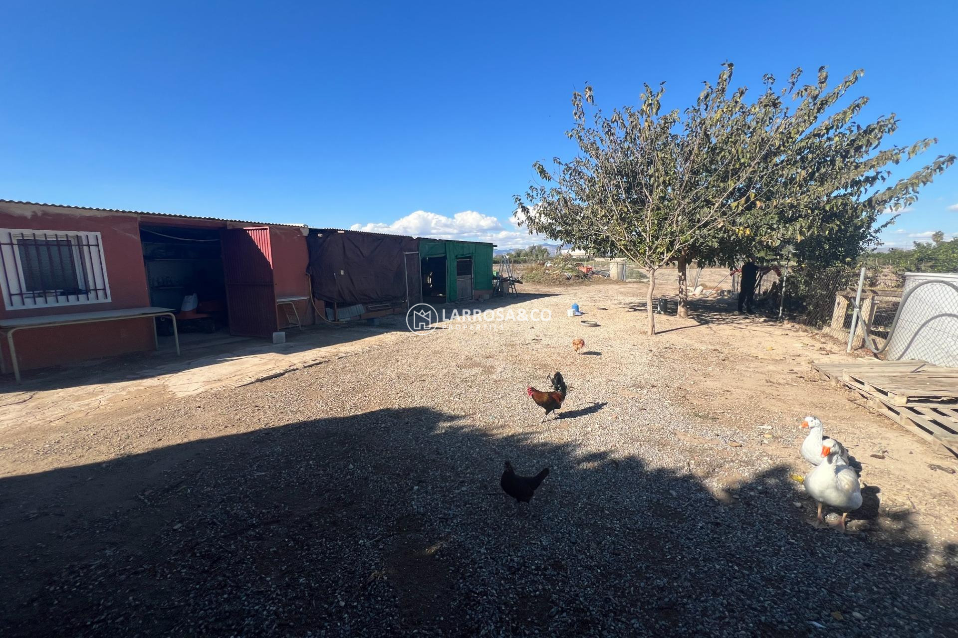 Herverkoop - Country house - Dolores - Comunidad valenciana