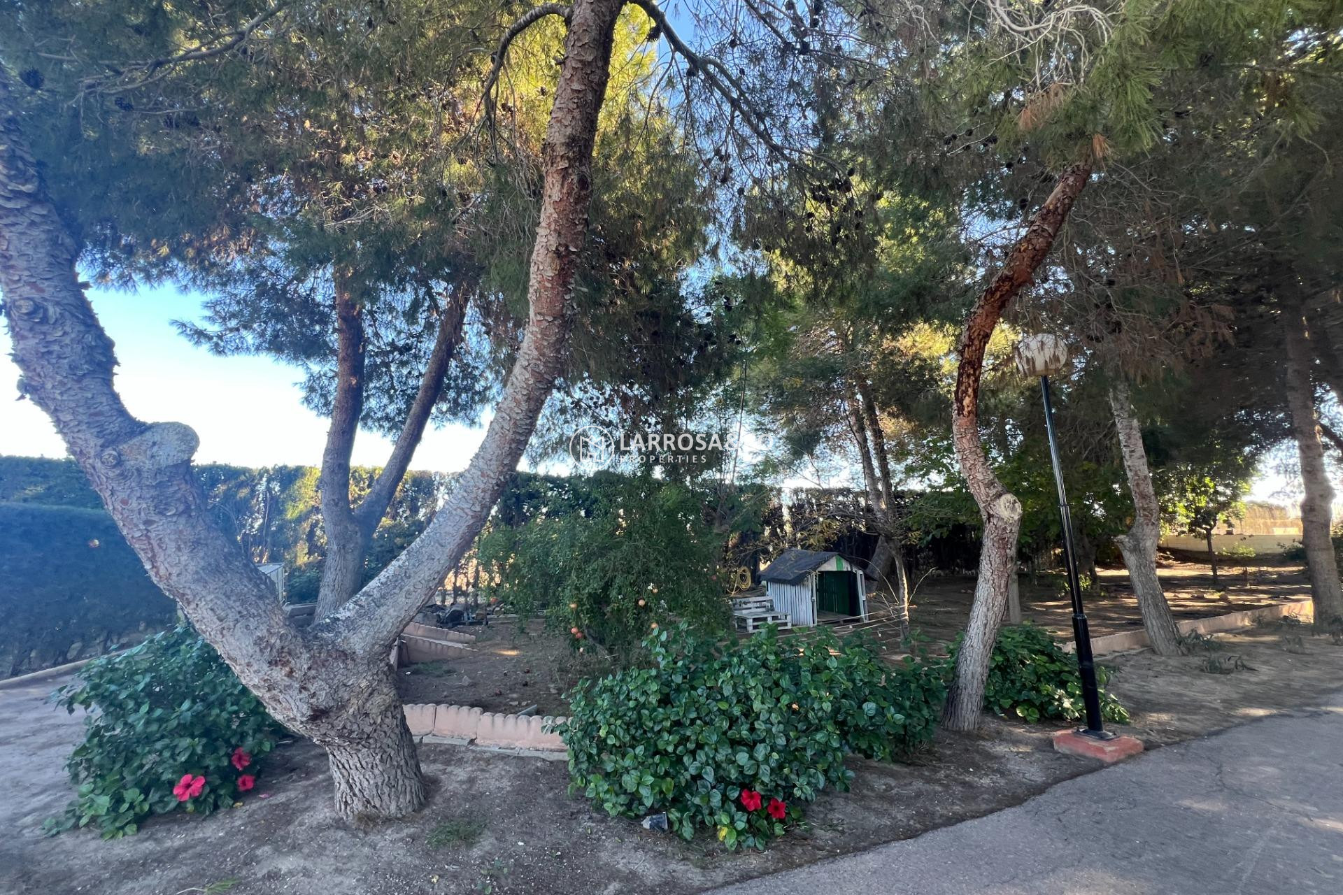 Herverkoop - Country house - Dolores - Comunidad valenciana