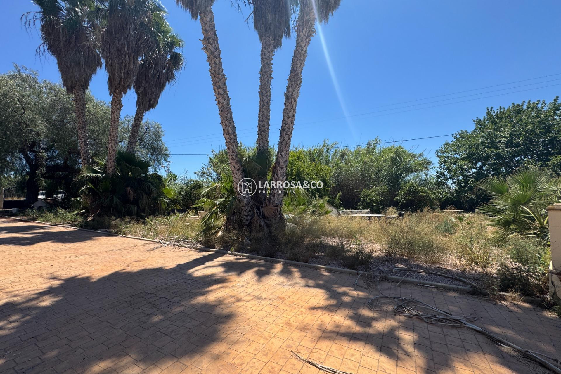 Herverkoop - Country house - Dolores - Comunidad valenciana