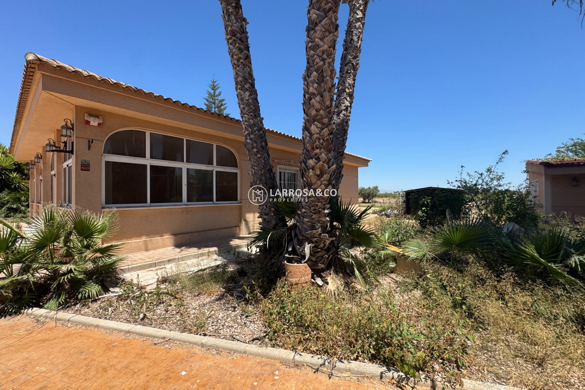 Herverkoop - Country house - Dolores - Comunidad valenciana