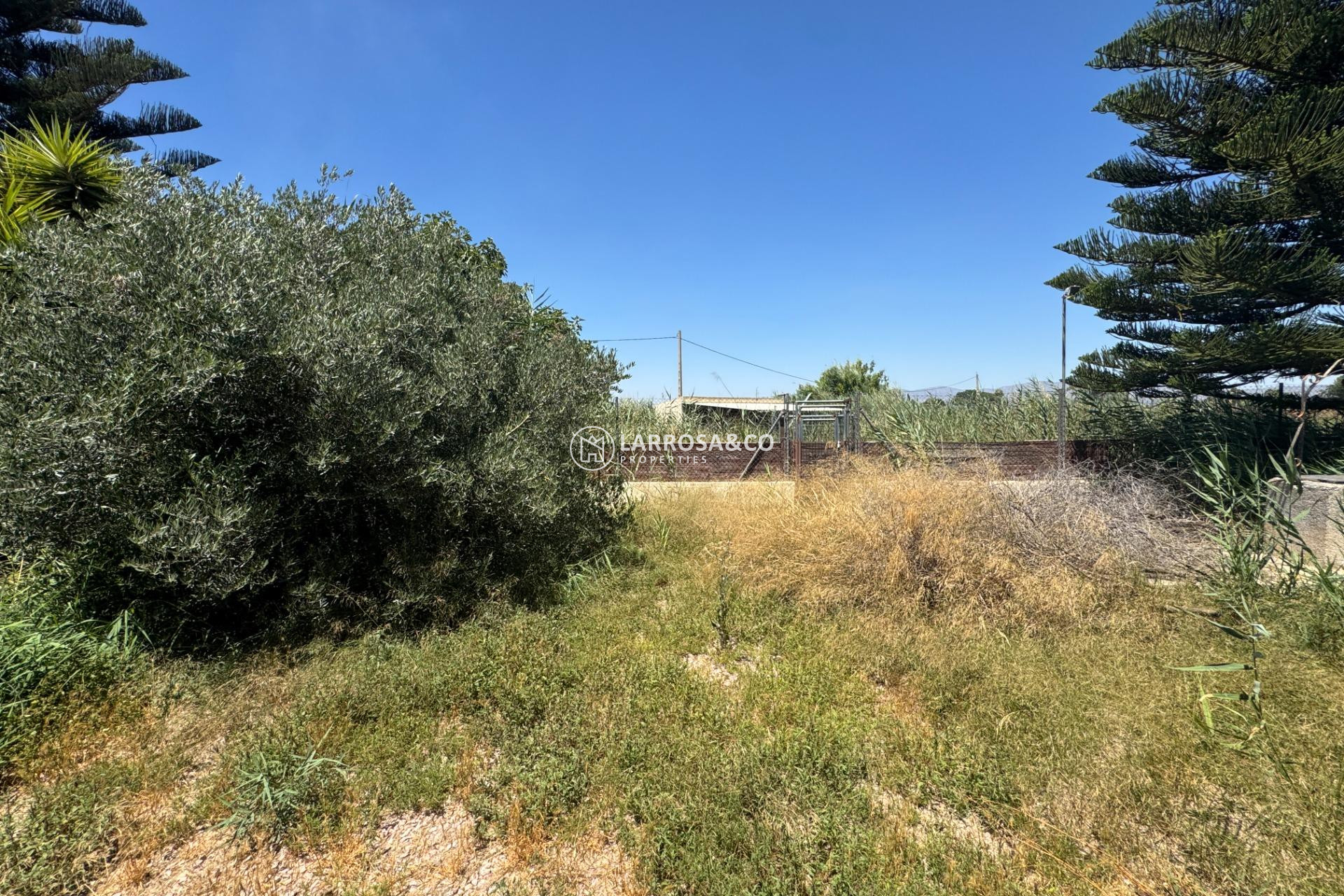 Herverkoop - Country house - Dolores - Comunidad valenciana