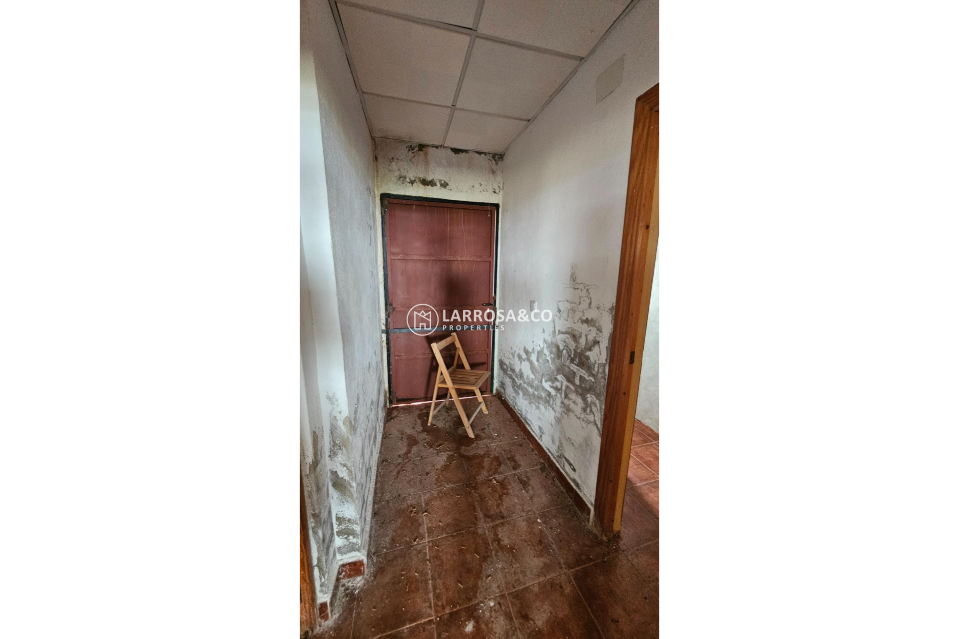 Herverkoop - Country house - Los Montesinos - LOS MONTESINOS