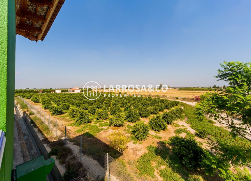 Herverkoop - Finca - Almoradí - Camino De Catral